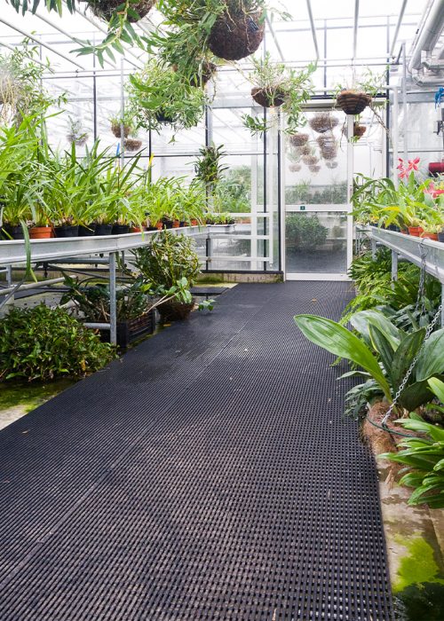 green house